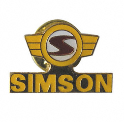PIN Logo - gelb-rot