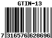 7316576628696